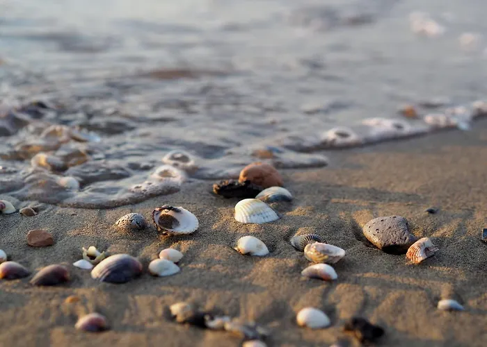 Appartamento Beautiful Flat With Sea View In *